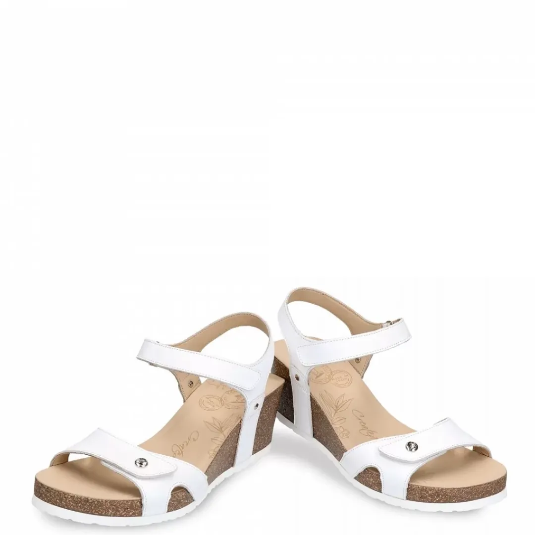 Julia Basics^Panama Jack New