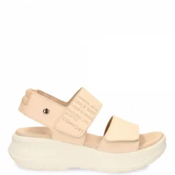 Noah^Panama Jack Hot