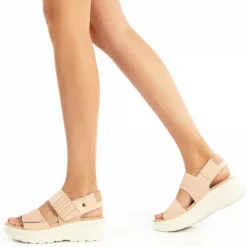 Noah^Panama Jack Hot