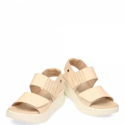 Noah^Panama Jack Hot