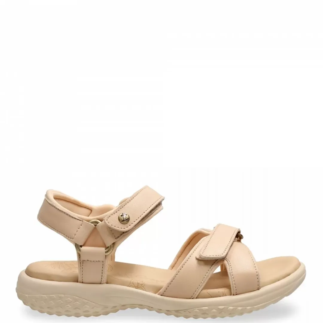 Noja^Panama Jack Sale