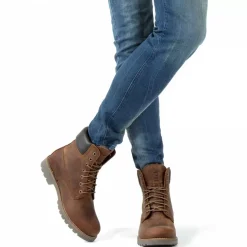 Panama 03 Igloo^Panama Jack Online