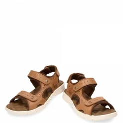 Salton^Panama Jack Outlet