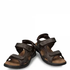 Salton Basics^Panama Jack Discount