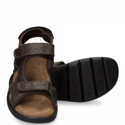 Salton Basics^Panama Jack Discount