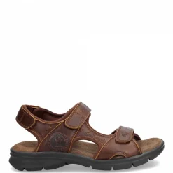 Salton Basics^Panama Jack Hot