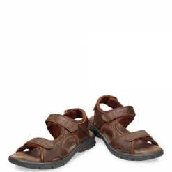 Salton Basics^Panama Jack Hot