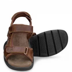 Salton Basics^Panama Jack Hot