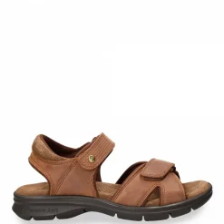 Sanders Basics^Panama Jack Hot