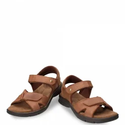 Sanders Basics^Panama Jack Hot