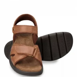 Sanders Basics^Panama Jack Hot