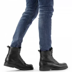 Stevens Igloo^Panama Jack Online